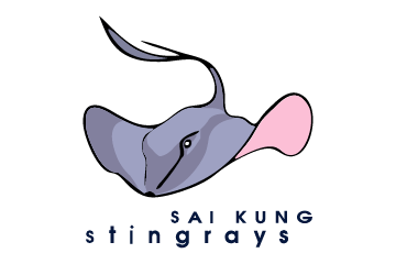 Sai Kung Stingrays